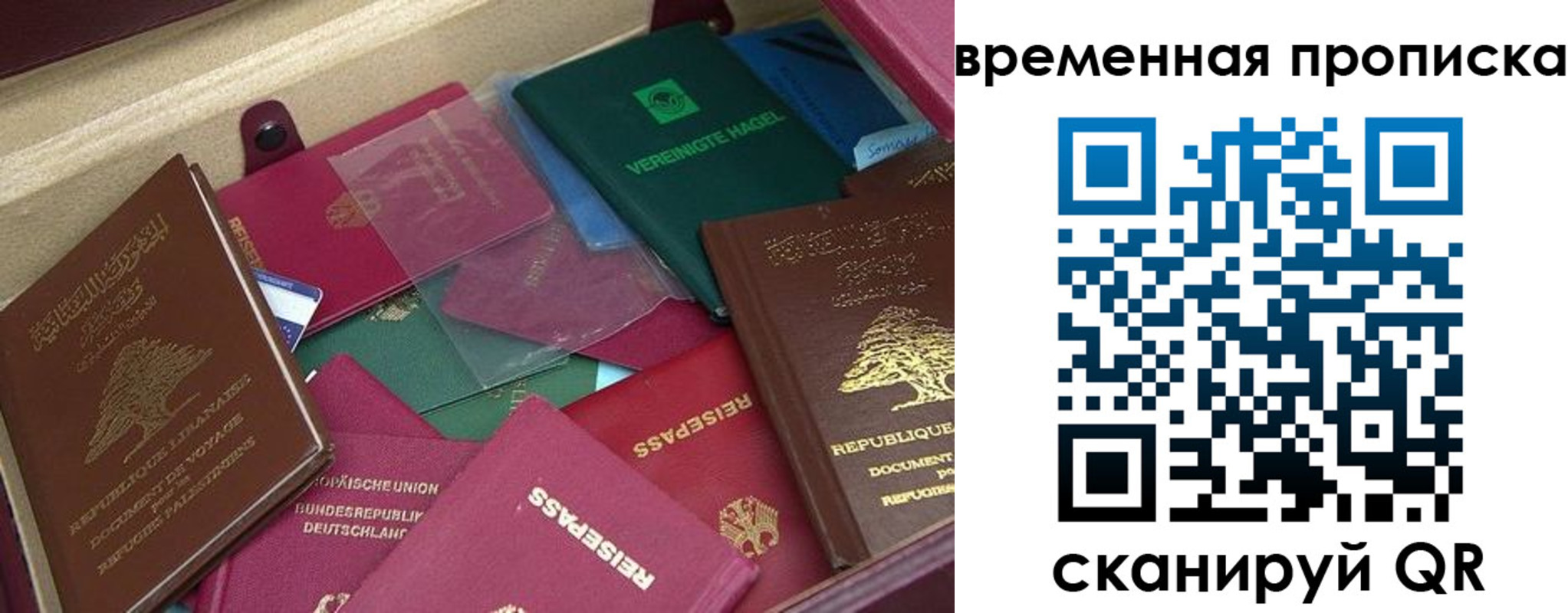прописка в Шали
